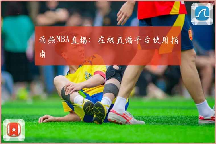 雨燕NBA直播：在线直播平台使用指南